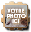 CUSTOMIZABLE PHOTO (unframed)