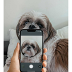 CUSTOMIZABLE PHOTO (unframed)