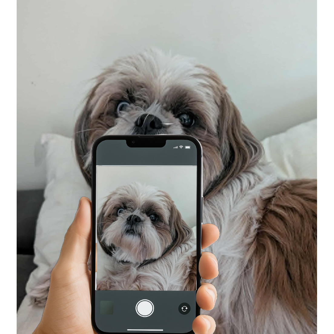 CUSTOMIZABLE PHOTO (unframed)