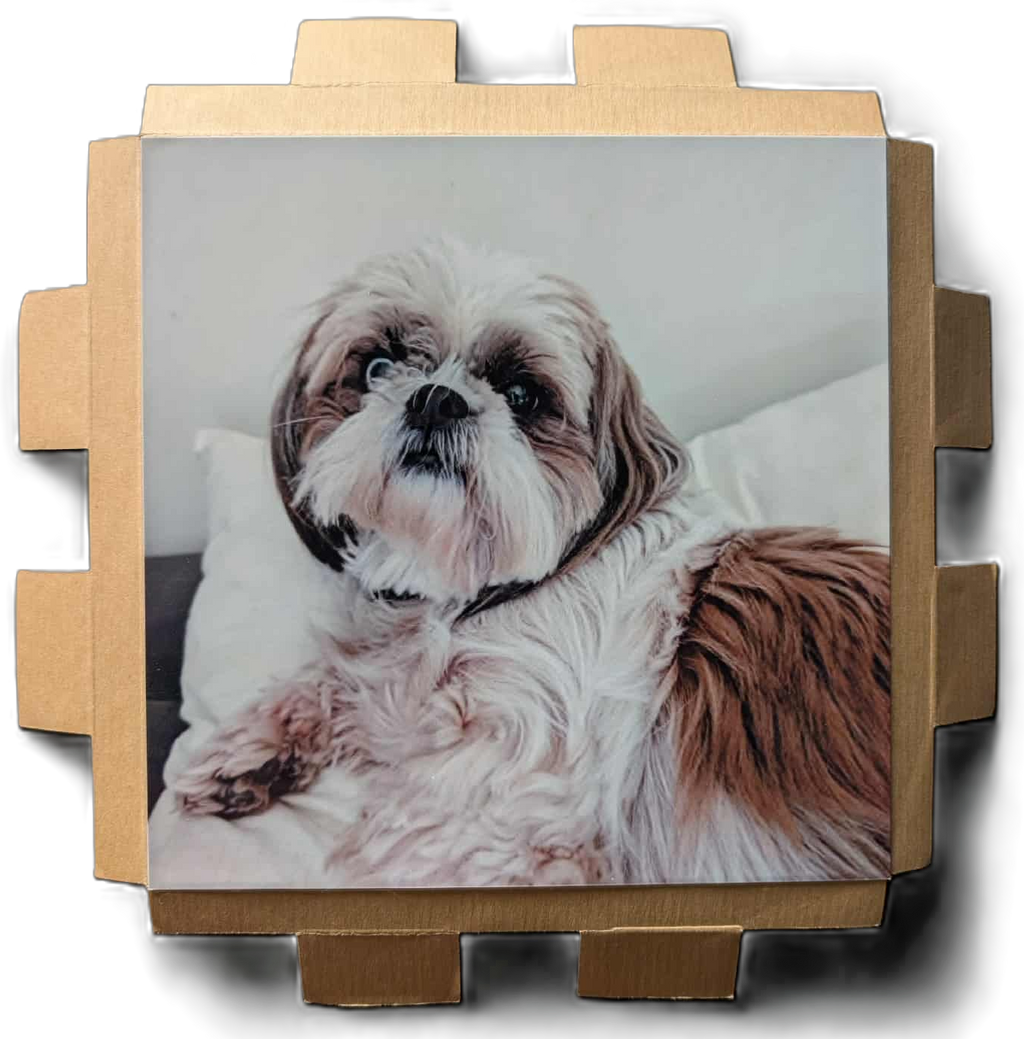 CUSTOMIZABLE PHOTO (unframed)