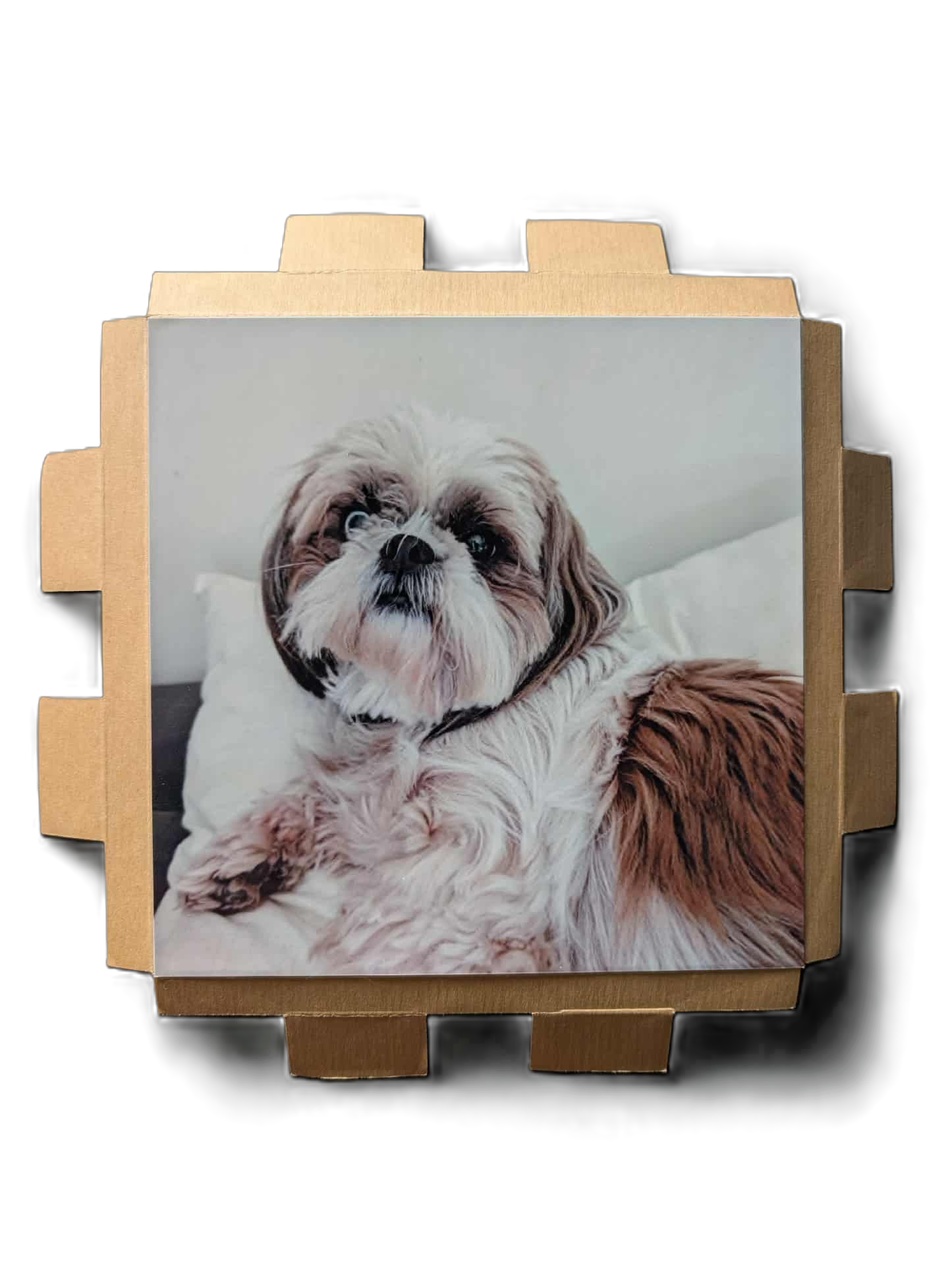 CUSTOMIZABLE FRAME + PHOTO